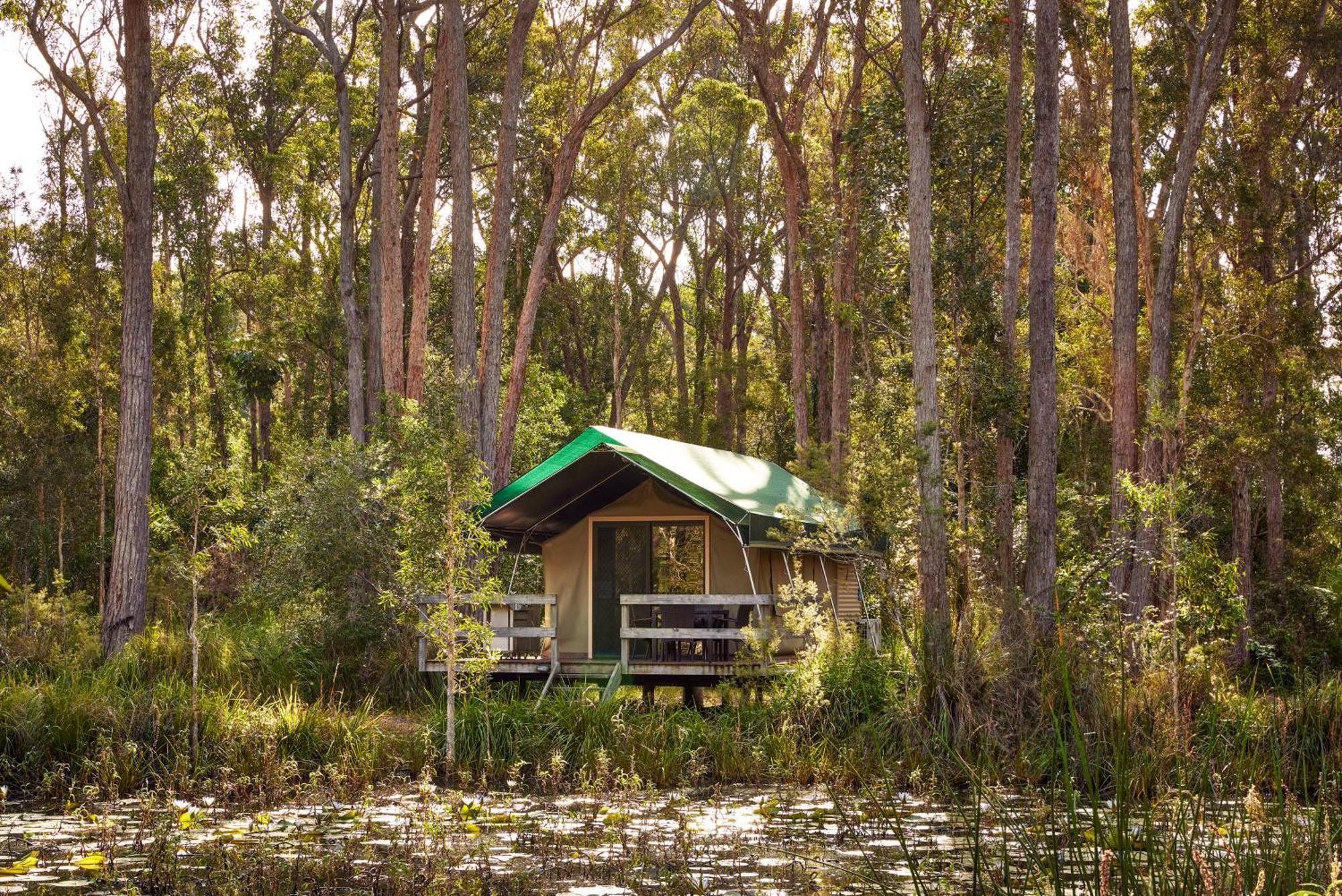 Nrma Darlington Beach Holiday Resort Arrawarra Exterior foto