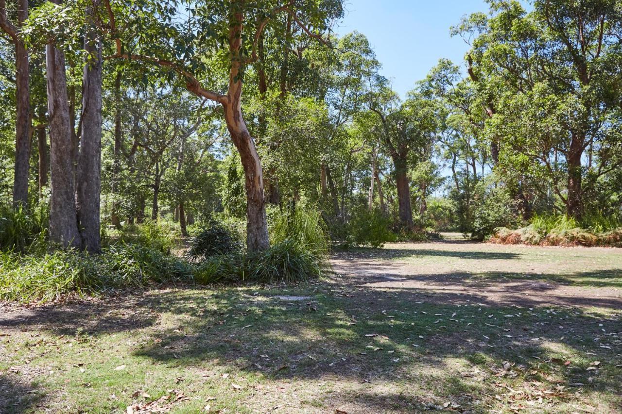 Nrma Darlington Beach Holiday Resort Arrawarra Exterior foto